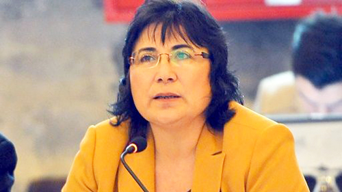 Fügen Selvitopu